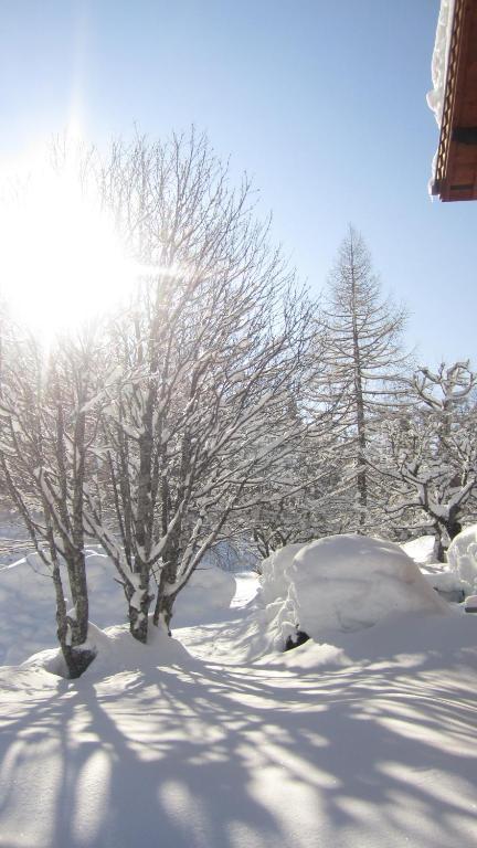 Beausoleil Bed & Breakfast Chamonix Dış mekan fotoğraf